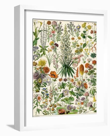 Perennial Garden Flowers, Aster, Daisy, Bleeding Heart, Geranium, Primrose, Phlox-null-Framed Giclee Print