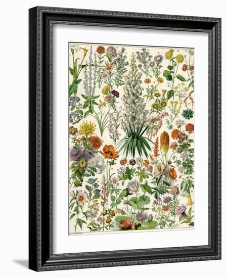 Perennial Garden Flowers, Aster, Daisy, Bleeding Heart, Geranium, Primrose, Phlox-null-Framed Giclee Print