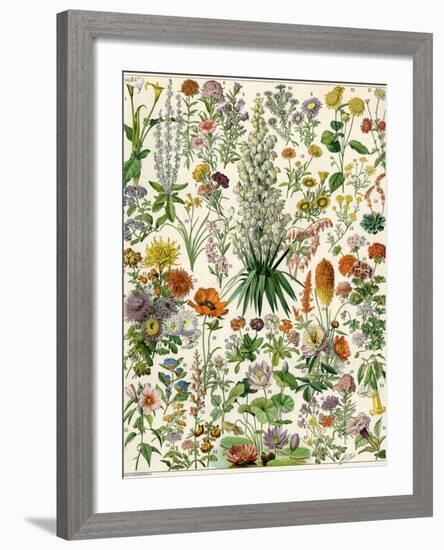 Perennial Garden Flowers, Aster, Daisy, Bleeding Heart, Geranium, Primrose, Phlox-null-Framed Giclee Print