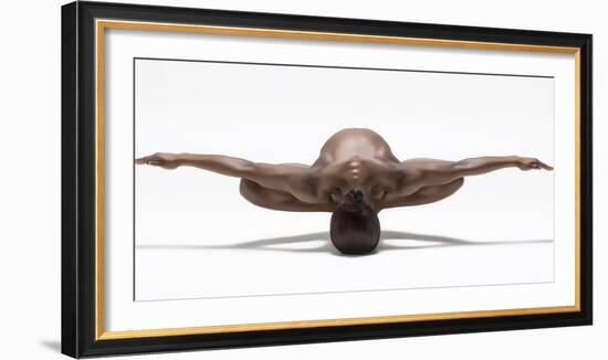 Perfect Balance-Ross Oscar-Framed Photographic Print