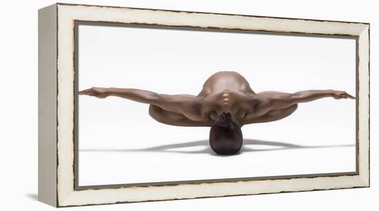 Perfect Balance-Ross Oscar-Framed Premier Image Canvas