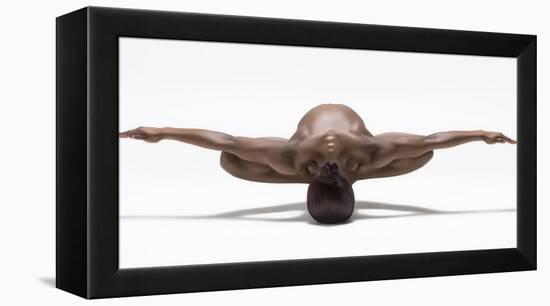 Perfect Balance-Ross Oscar-Framed Premier Image Canvas