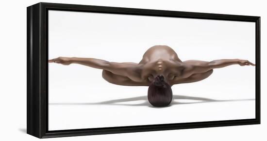 Perfect Balance-Ross Oscar-Framed Premier Image Canvas