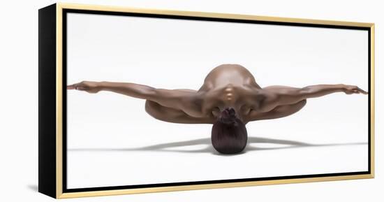 Perfect Balance-Ross Oscar-Framed Premier Image Canvas