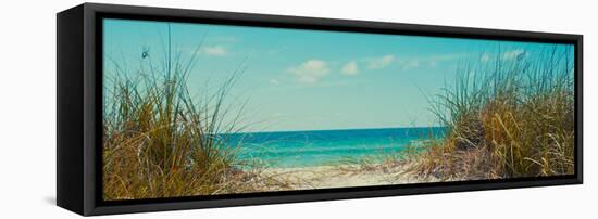 Perfect Day I-Susan Bryant-Framed Premier Image Canvas