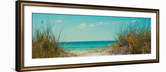 Perfect Day I-Susan Bryant-Framed Photographic Print