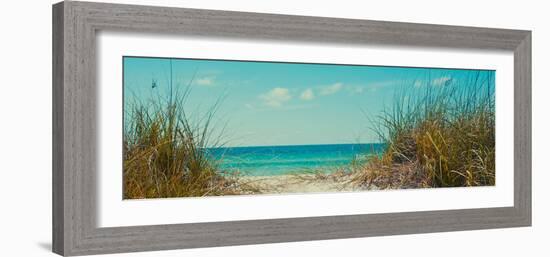 Perfect Day I-Susan Bryant-Framed Photographic Print