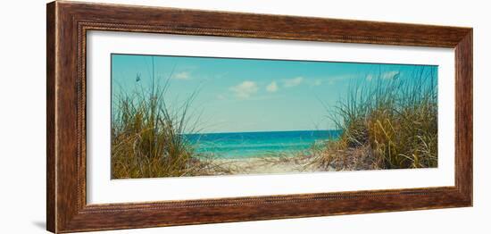 Perfect Day I-Susan Bryant-Framed Photographic Print