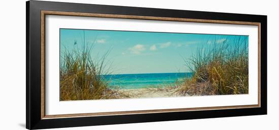 Perfect Day I-Susan Bryant-Framed Photographic Print