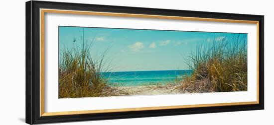 Perfect Day I-Susan Bryant-Framed Photographic Print