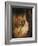 Perfect Harmony-Jean Antoine Watteau-Framed Giclee Print