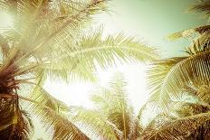 Abstract Summer Background with Tropical Palm Tree Leaves-Perfect Lazybones-Photographic Print