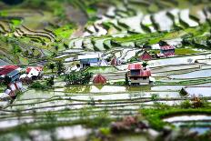 Amazing Tilt Shift Effect View of Rice Terraces Fields and Village Houses in Ifugao Province Mounta-Perfect Lazybones-Photographic Print