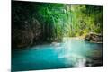 Photographic Print