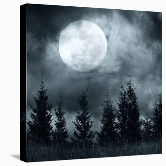 Stretched Canvas Print, , large