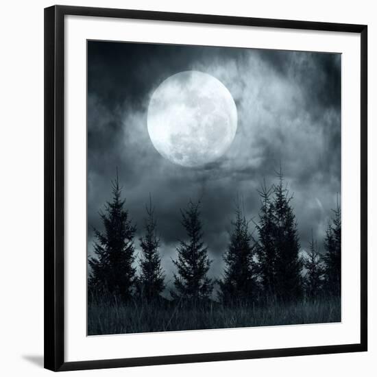 Photographic Print, , large