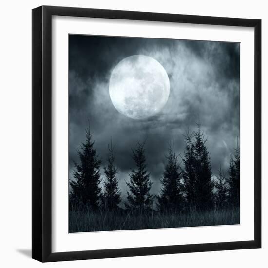 Photographic Print, , large