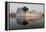 Perfect Reflection of Lake Palace Hotel, India-Martin Child-Framed Premier Image Canvas