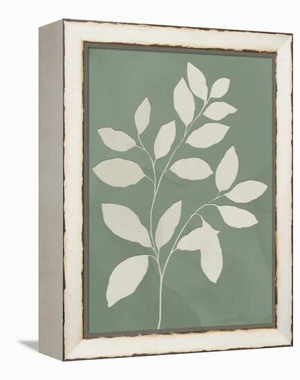 Perfect Simplicity I-Isabelle Z-Framed Stretched Canvas