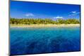 Premium Photographic Print