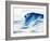 Perfect Wave-Rikki Drotar-Framed Giclee Print