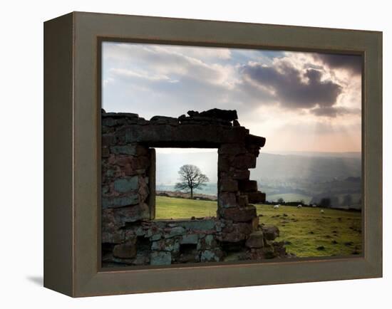 Perfectly Framed-Craig Roberts-Framed Premier Image Canvas