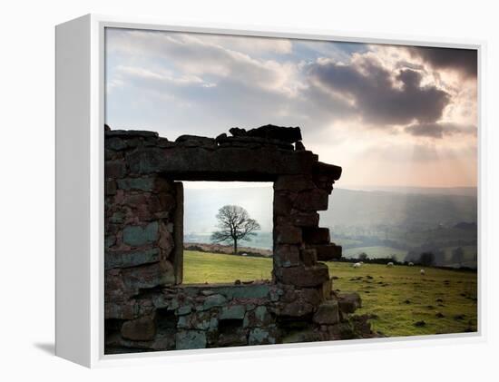 Perfectly Framed-Craig Roberts-Framed Premier Image Canvas