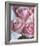 Perfectly Pink I-Monika Burkhart-Framed Photo