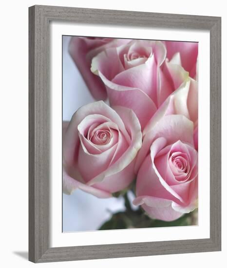 Perfectly Pink I-Monika Burkhart-Framed Photo