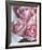 Perfectly Pink I-Monika Burkhart-Framed Photo