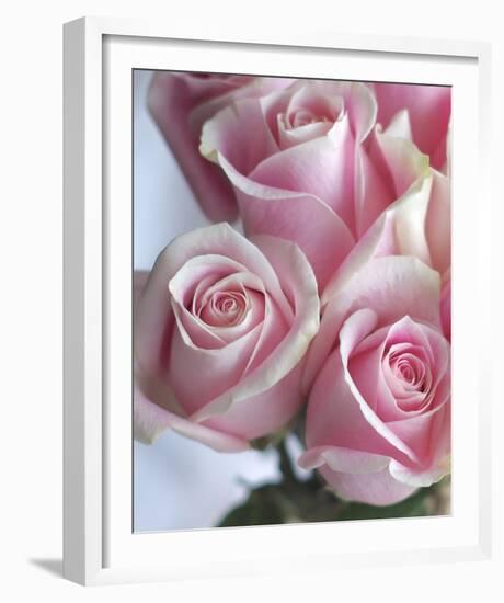 Perfectly Pink I-Monika Burkhart-Framed Photo