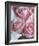 Perfectly Pink I-Monika Burkhart-Framed Photo