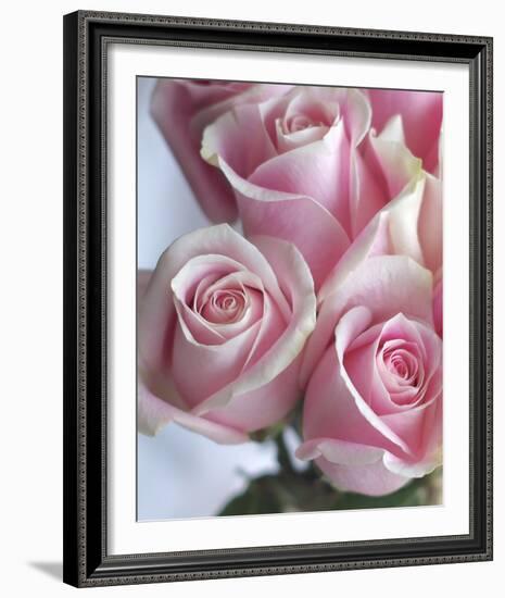 Perfectly Pink I-Monika Burkhart-Framed Photo