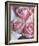 Perfectly Pink I-Monika Burkhart-Framed Photo