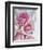 Perfectly Pink II-Monika Burkhart-Framed Photo