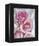 Perfectly Pink II-Monika Burkhart-Framed Stretched Canvas