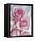 Perfectly Pink II-Monika Burkhart-Framed Stretched Canvas