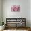 Perfectly Pink III-Monika Burkhart-Photo displayed on a wall