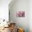 Perfectly Pink III-Monika Burkhart-Photo displayed on a wall