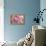 Perfectly Pink IV-Monika Burkhart-Framed Stretched Canvas displayed on a wall