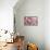 Perfectly Pink IV-Monika Burkhart-Framed Stretched Canvas displayed on a wall