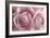 Perfectly Pink IV-Monika Burkhart-Framed Photographic Print