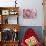 Perfectly Pink IV-Monika Burkhart-Photo displayed on a wall