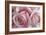 Perfectly Pink IV-Monika Burkhart-Framed Photo