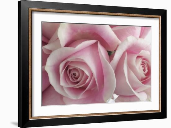 Perfectly Pink IV-Monika Burkhart-Framed Photo