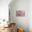 Perfectly Pink IV-Monika Burkhart-Mounted Photo displayed on a wall