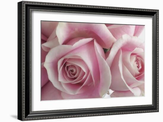 Perfectly Pink IV-Monika Burkhart-Framed Photo