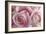 Perfectly Pink IV-Monika Burkhart-Framed Photo