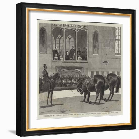 Performance by Hengler's Circus before the Queen at Windsor, Trained Horses Saluting the Royal Box-null-Framed Giclee Print