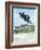 Performing a Bicycle Stunt-null-Framed Photographic Print